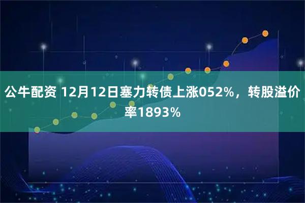 公牛配资 12月12日塞力转债上涨052%，转股溢价率1893%